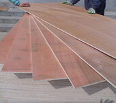山东产地货源胶合板多层板包装板15mm托盘板包装用胶合板定尺加工