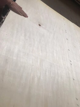 供应一次成型杨木包装板多层板托盘板
