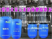 山东金波尔厂家生产批发糖醇铁16.8g/L并提供代加工图片1