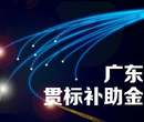 深圳企业申报知识产权贯标补贴有哪些?神州为您一一解答