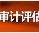 注册广州文化咨询有限公司商事登记注册电子营业执照图片