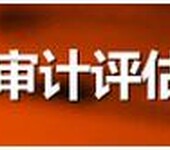 注册广州文化咨询有限公司商事登记注册电子营业执照