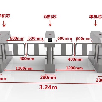 弘毅智能摆闸人脸识别,天津从事摆闸304不锈钢瑰丽多彩