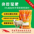 肉羊催肥饲料旧产品与新产品区别