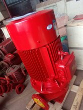 LG高层建筑给水泵多级离心泵图片