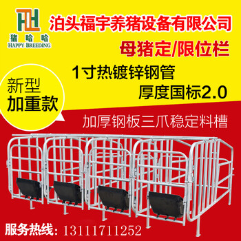 限位栏6-2.1限定母猪自由节省占地空间易于对母猪的管理福宇养猪设备