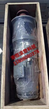 4KW立式减速机4千瓦化粪池搅拌电机污泥搅拌电机防腐蚀搅拌机厂家