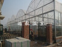 山东省青州市远航温室工程玻璃温室图片5