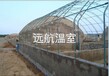 山东省青州市远航温室工程