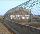 青州市远航温室工程连栋温室
