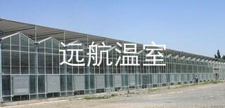 山东青州远航温室工程连栋温室图片1