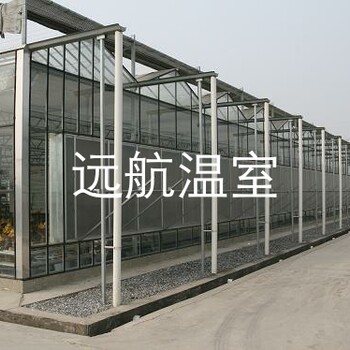 青州市远航玻璃温室，温室大棚