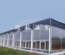 山东青州远航温室玻璃温室、连栋温室