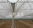 山东青州远航温室温室大棚图片