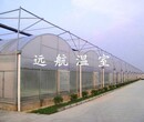 山东青州市远航温室温室大棚、玻璃温室图片