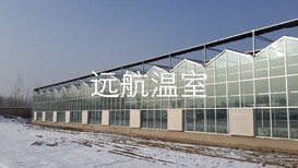 山东青州远航温室工程，养殖大棚图片5