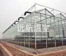 山东青州远航温室玻璃温室、连栋温室、温室骨架