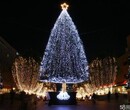 灯光节生产公司生产厂家圣诞树造型出租