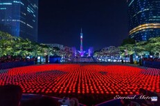 四川宜宾灯光节工厂出售四川宜宾打造LED灯光厂家工厂图片2