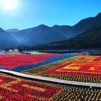 高邮梦幻灯光节出售厂家风车节安装出售