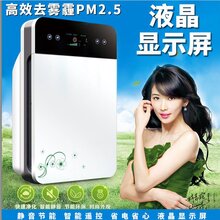 供应负离子空气净化器家用商用卧室pm2.5去除甲醛雾霾烟尘图片
