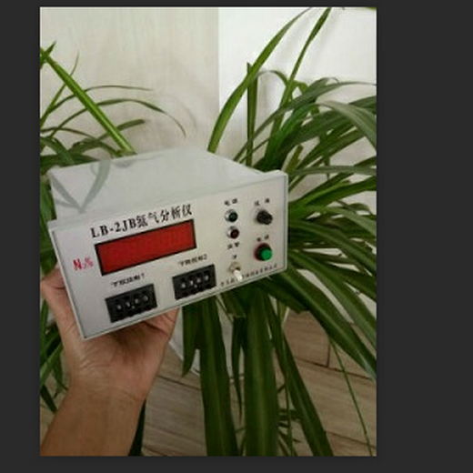 氮气纯度的在线监测仪氮气检测分析仪
