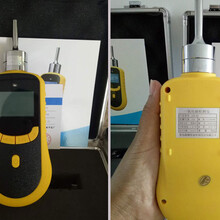 手持泵吸式一氧化碳氣體檢測儀圖片