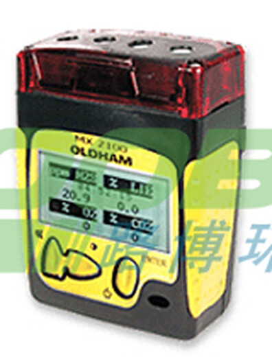 T40硫化氢气体检测仪（适用于极端环境监测）