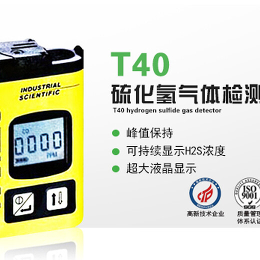 T40硫化氢气体检测仪气体监测