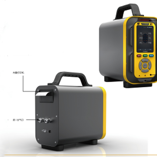 手提式气体分析仪