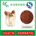 茶树菇提取物10:1茶树菇多糖20%慧科SC认证厂家品质保证
