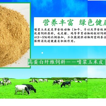 河南飞天助消化粗纤维喷浆玉米科技加浆玉米皮牛羊饲料
