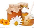 奥地利蜂蜜进口报关需要国外要准备哪些资料