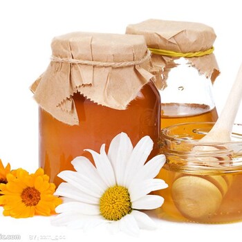 德国蜂蜜进口清关流程怎样简便？