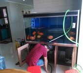 南京专业清洗鱼缸玻璃鱼缸换水消毒鱼缸长期维护保养