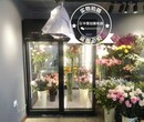 供应鲜花店专用鲜花保鲜展示柜LC-XHG中意创展鲜花柜图片