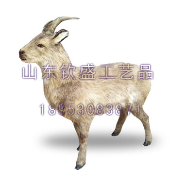 羚羊羚牛高原仿真动物本北博物馆用大型动物标本Simulatedanimalspecimen