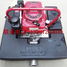 CET品牌PFP-11hpHND-FL型浮艇泵厂家直销图片