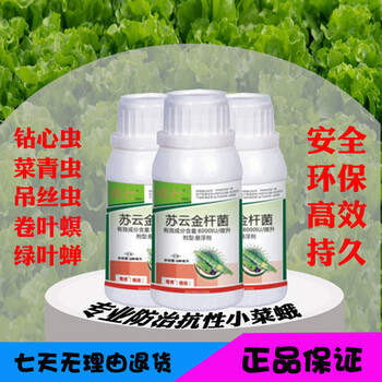 菜青蟲抗性大怎么治什么藥殺吊絲蟲效果好防治菜青蟲藥