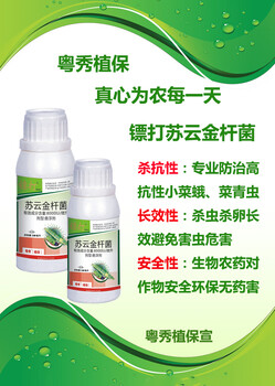 菜青蟲抗性大怎么治什么藥殺吊絲蟲效果好打小菜蛾藥