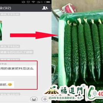黃瓜瓜體細(xì)長品質(zhì)好-福進(jìn)門黃瓜水溶肥