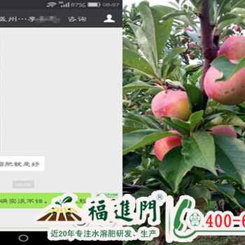 遼寧營口李子用福進門水溶肥用戶反饋好