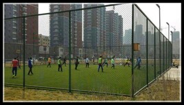 河北省足球场围栏网墨绿色浸塑铁丝网图片4