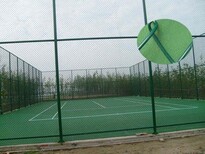 河北省足球场围栏网墨绿色浸塑铁丝网图片3