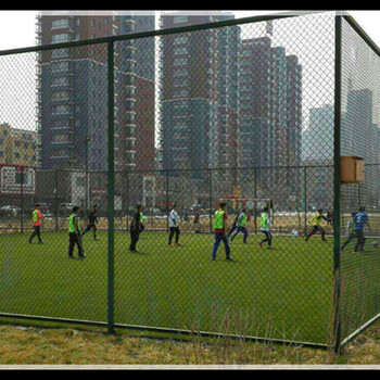山东省篮球场外围防护网浸塑围栏网