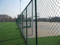 河北省足球场围栏网墨绿色浸塑铁丝网图片2