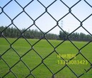 河北省足球场围栏网墨绿色浸塑铁丝网图片