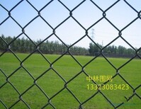 河北省足球场围栏网墨绿色浸塑铁丝网图片0