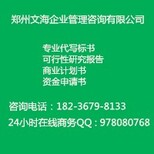 莲都可以写可行性研究报告新能源建设项目全包图片1