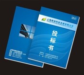 能编写惠州商业标书投标书快速图片5